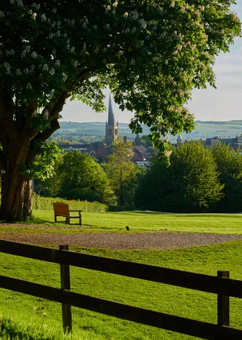 Spire from Tapton park, framed by Tree.jpg